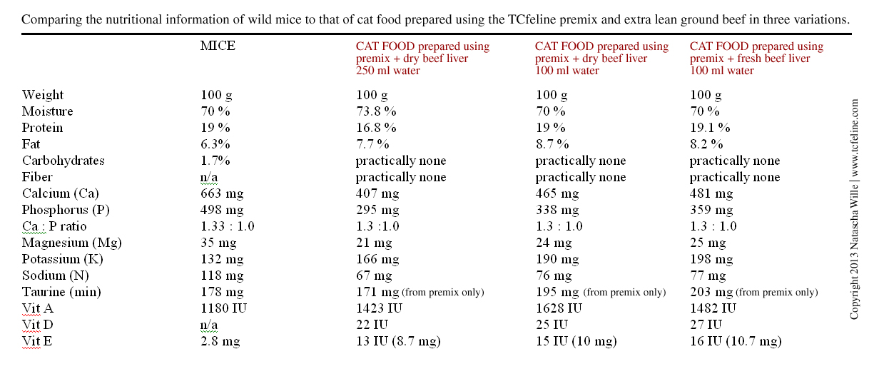 cat nutritional needs