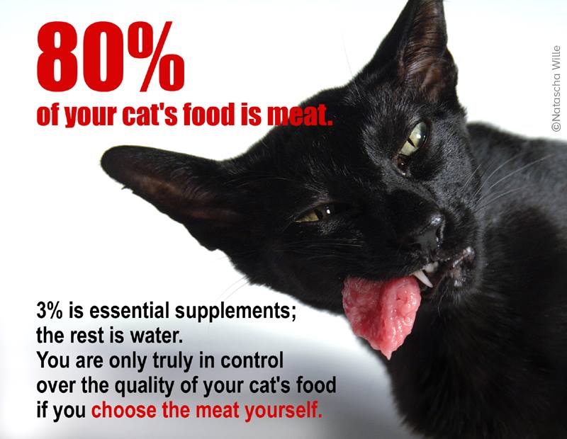 best meat for cats