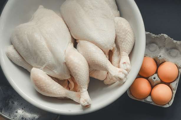 Fresh chicken and eggs as natural ingredients for preparing homemade raw cat food with TCfeline premix